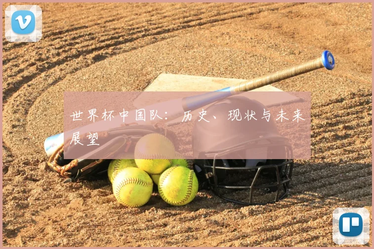 世界杯中国队:历史、现状与未来展望