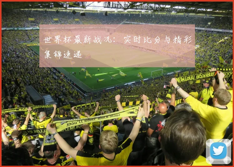 世界杯最新战况:实时比分与精彩集锦速递