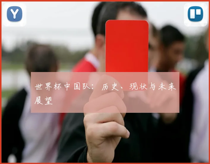 世界杯中国队：历史、现状与未来展望