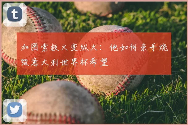 加图索救火变纵火:他如何亲手烧毁意大利世界杯希望