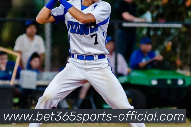 Bet365发展历程